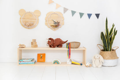 Montessori Bookcase